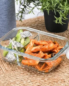 Rectangular Two Compartment 1000ml Lunch Box Set for Office & College with Air Tight Lid | Microwave & Oven Safe (1040ml)